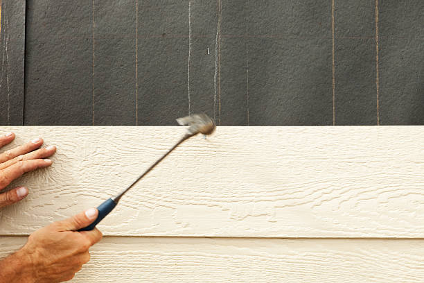 Best Historical Building Siding Restoration  in USA